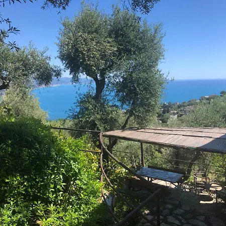 شقة 